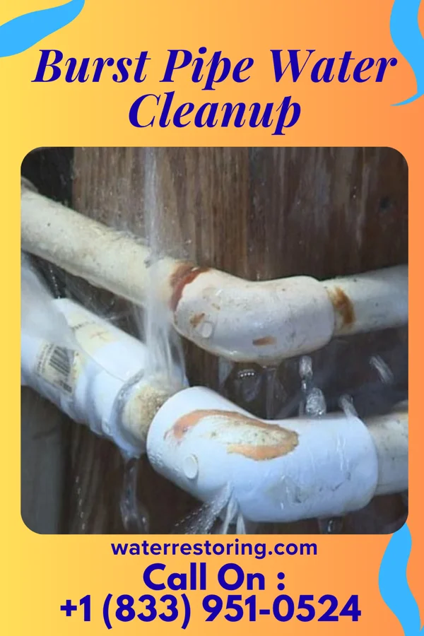 Burst Pipe Water Cleanup in Copeland, OK