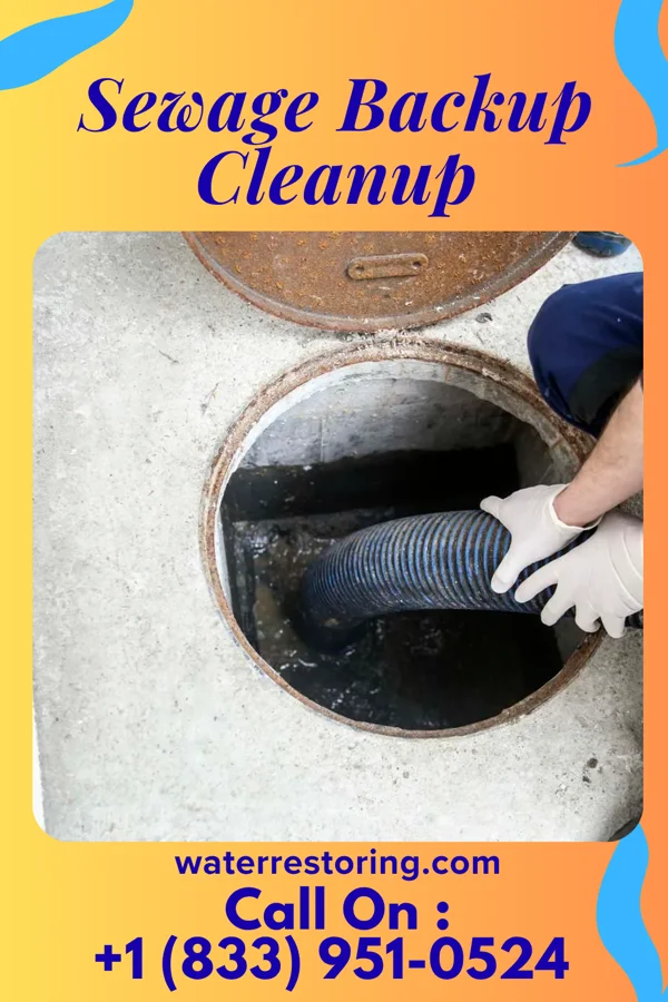 Sewage Backup Cleanup in Copeland, OK